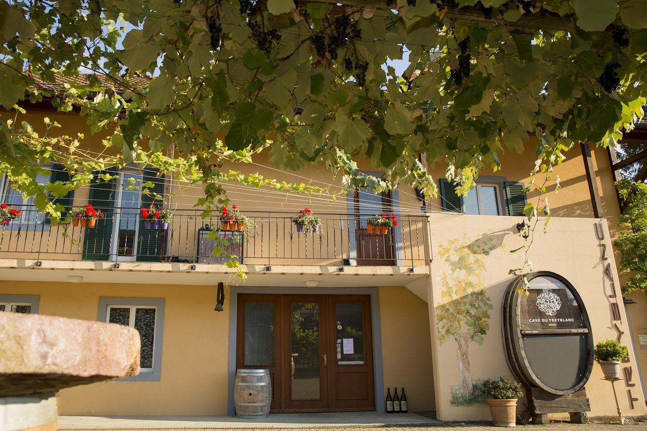 Bed and Breakfast Cave Du Treyblanc Luins Exterior foto
