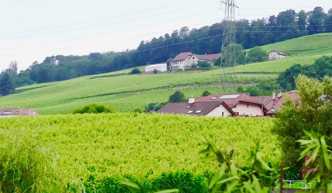 Bed and Breakfast Cave Du Treyblanc Luins Exterior foto