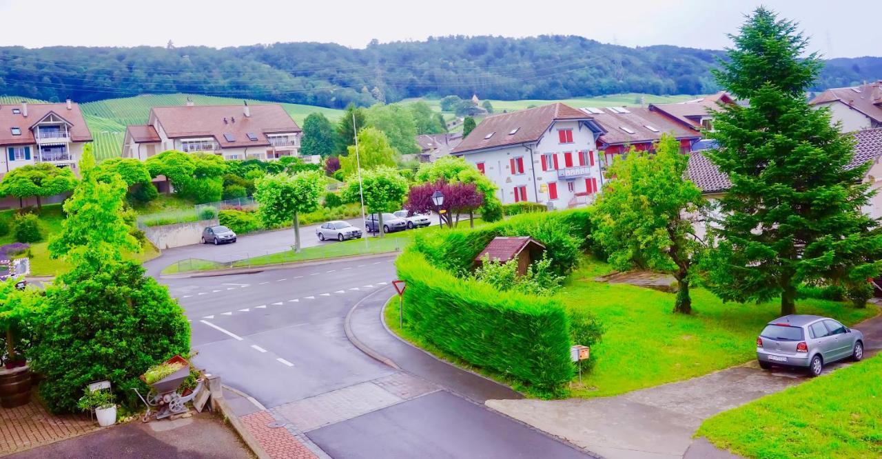 Bed and Breakfast Cave Du Treyblanc Luins Exterior foto